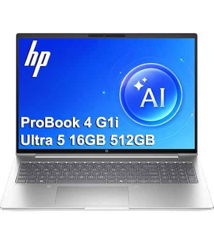 Amazon.com: HP ProBook 455 G10 15.6